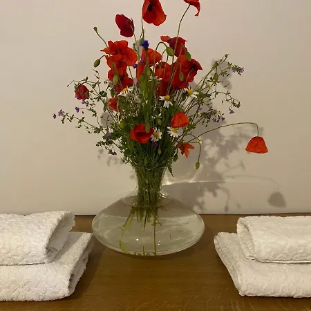 Maly W Gorach Sowich 別荘 ピエシツェ