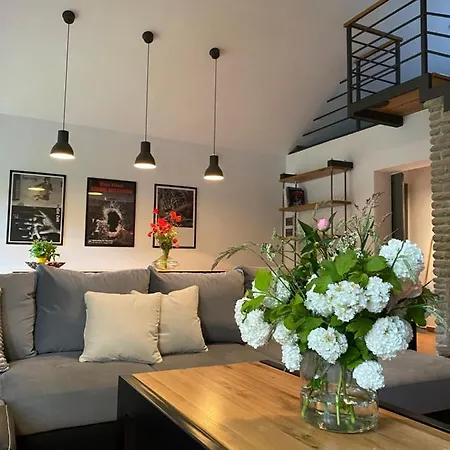 Maly W Gorach Sowich 別荘 ピエシツェ